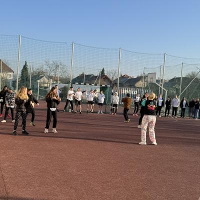 Img 2250