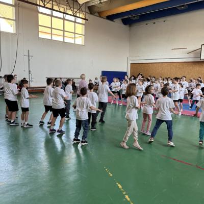 Img 2778