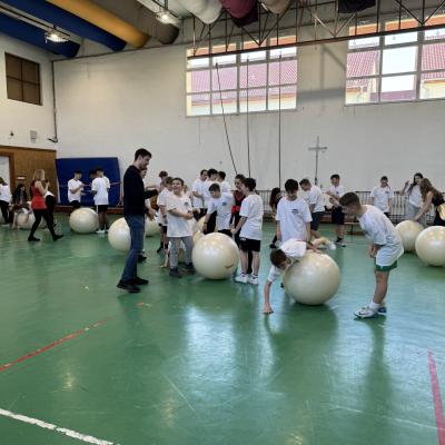 Img 2964